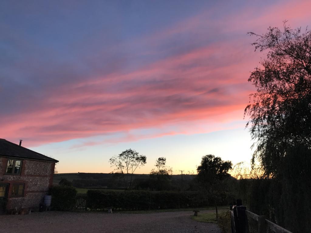 Pleck Barn B&B Ansty  Extérieur photo
